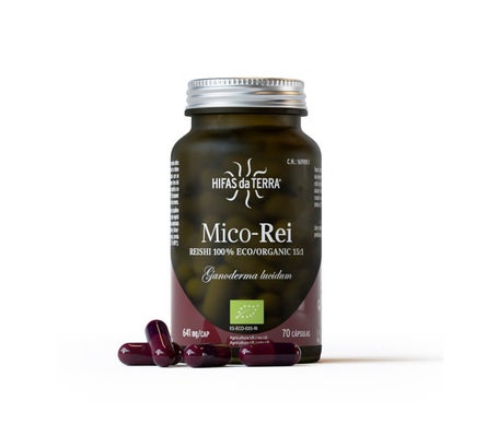 Hyphae Da Terra Antioxydant Mico Rei 640mg 70caps