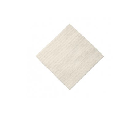 Algisite M Pansement 10X10Cm 10