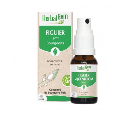 Herbalgem Spray Figuier 15ml