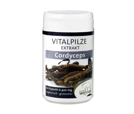 Pilze Wolhrab Cordyceps 60caps
