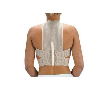 Orliman Dossier respirant T-3 85-97cm