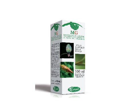 Sangalli Castagno Macerato di Gemme 100ml