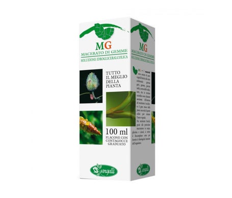 Sangalli Betula Verrucosa 100ml