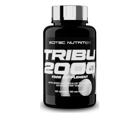 Scitec Nutrition Stam 2000 90 Tabs-image