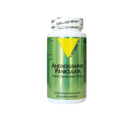 VIT'ALL+ Andrographis Paniculate 500mg 60 Gélule