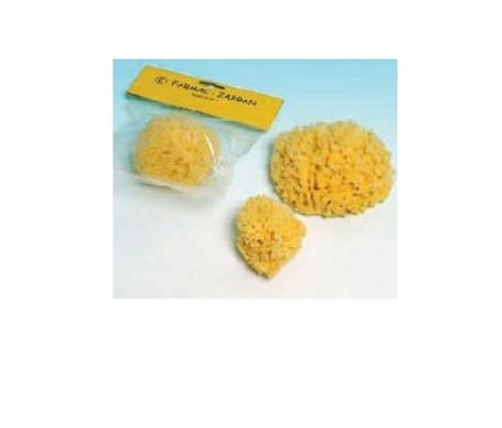 eponge grande taille