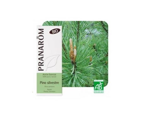 Scots Pine Bio 10ml Huile Essentielle