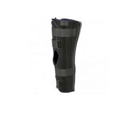 Cizeta Orto Perfo Uni 3 T2