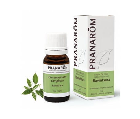 Pranarôm Huile Essentielle Ravintsara 10ml