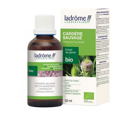 Ladrôme Extrait Végétal de Thé Vert Bio 50ml