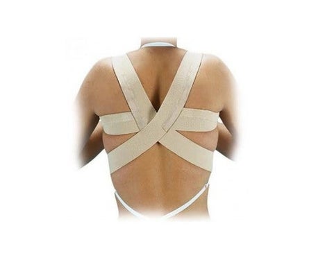 Orliman Dossier Normal T-1 75-85cm