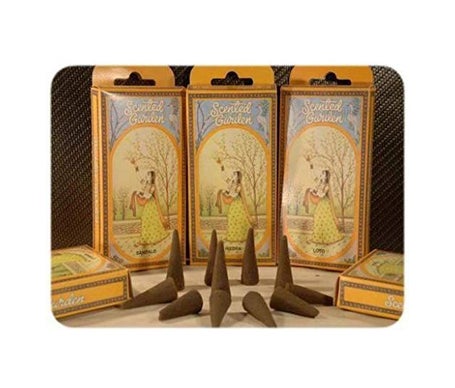 Radhe Shyam Scented Garden Incense 12 bâtonnets