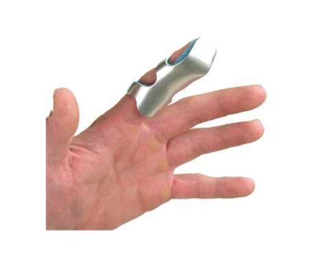 Ferula Anat. Rana Federica Prim T/