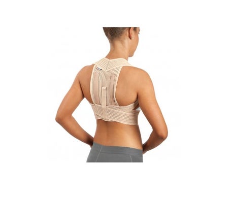 Orliman Espaldera Traspirable Reforzada 1,75 a 85cm