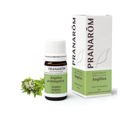 Pranarom Angelica Raiz 5 Ml-image