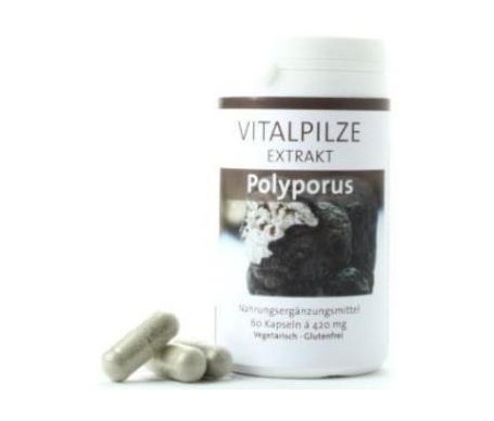 Pilze Wolhrab Polyporus 60caps