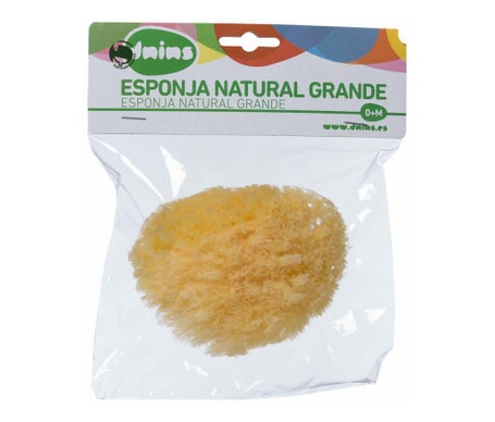 Dnins Éponge Naturelle Large 1ut