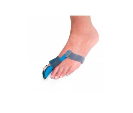 Oignon Prim Correct Noc P435L