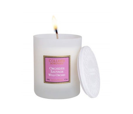 Collines de Provence Bougie Orchidee Sauvage 180g