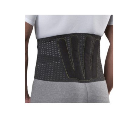 Gibaud Ceinture 21cm Taille 3 1ut