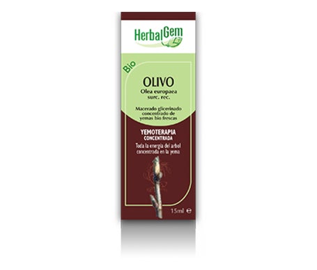 HerbalGem Olivo 15 ml
