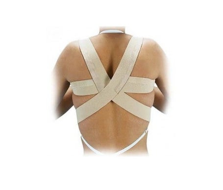 Orliman Dossier Normal T-2 80-92cm