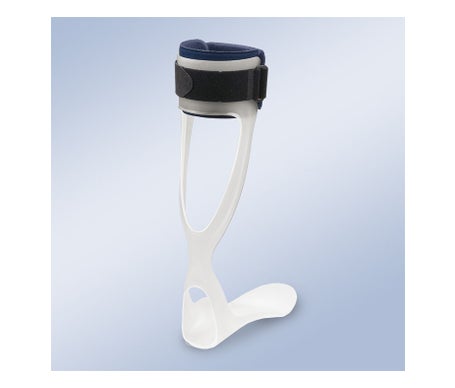 Orliman Antiequino Rancho Amigos 41-44 TP-2102D Droit T4 1pc