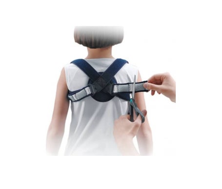 Sangle Clavic Ligaflex Junior