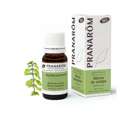 Pranarôm Bio Huile Essentielle Menthe des Champs 10 ml