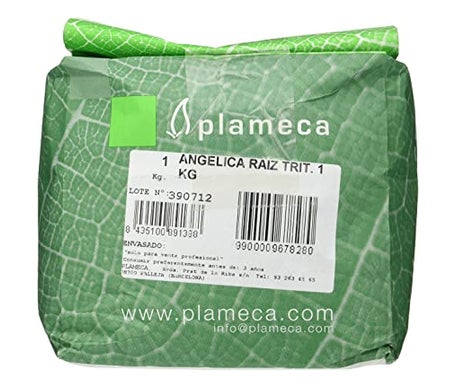 Plameca Angelica Herb Root Trit 1Kg