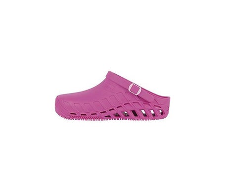 Scholl Zueco Evo Fucsia Talla 41 1 Par