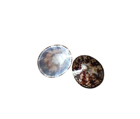 Veracova Contour Yeux Anti-Ride 10ml