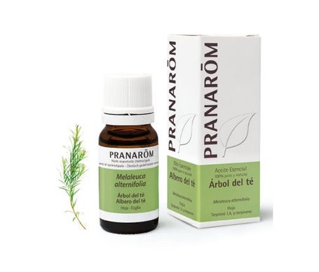 Pranarôm Huile Essentielle de Tea-Tree 10 ml
