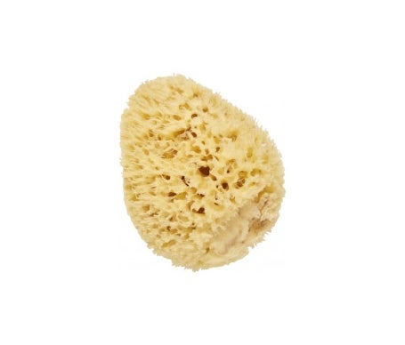 Cartel Eponge Mer Naturel 8Cm