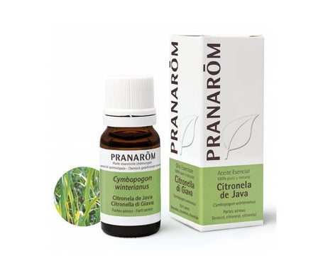 Pranarôm Huile Essentielle Citronnelle de Java 10ml