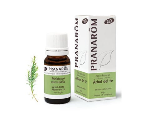 Pranarôm Bio Huile Essentielle TeaTree 10 ml