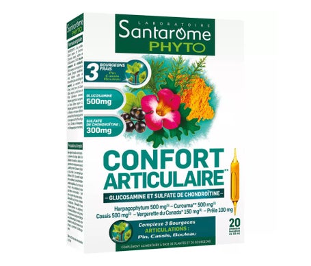 Santarome Conf Articulaire Amp 20