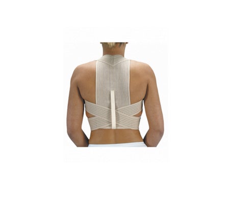 Orliman Trellis T-1 Et-210-1