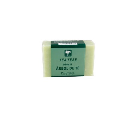 Plantapol Savon Arbre à Thé 100g