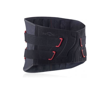 Immostrap Ceint Lo H26Cm Tm