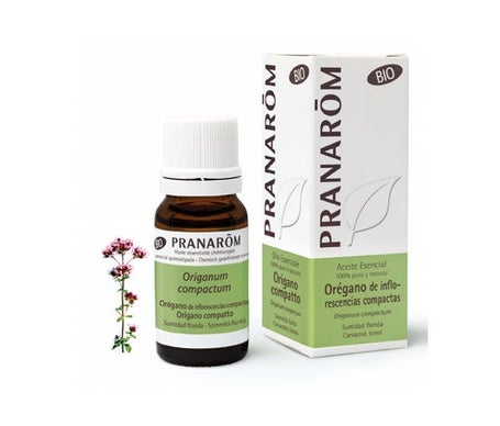 Pranarôm Bio Huile Essentielle Origan À Inflorescences Compactes 10 ml