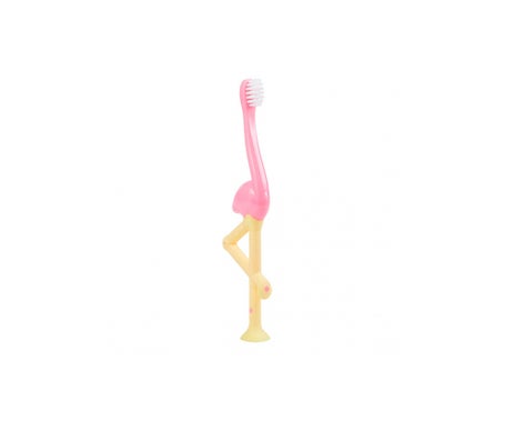 Dr Browns Flamingo Toothbrush 1-4 ans
