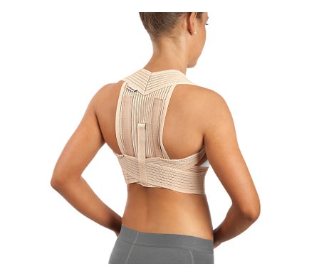 Orliman Back Brace Reforz Et-220 T-2 1pc