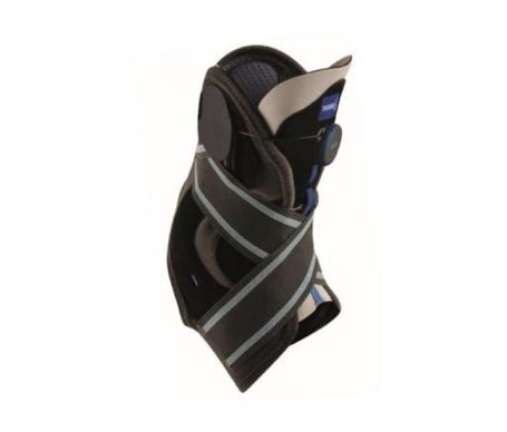 Malleodynastab Boa Cavigliera3