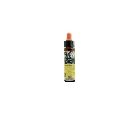 Plantis 26 Helianthus 10ml
