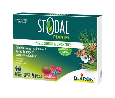 Stodal Plantes Nez & Gorge & Bronches Fruits Rouges 36comp