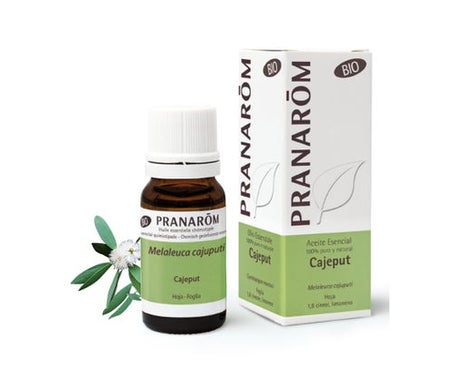 PRANAROM Pranar&ocirc;m Huile Essentielle de Cajeput BIO 10 ml