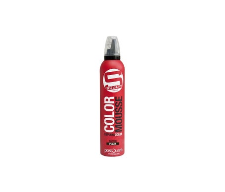 POSTQUAM SCULPT COLOR MOUSSE #argent 300 ml