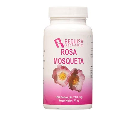 Bequisa Rosehip 100 Perles