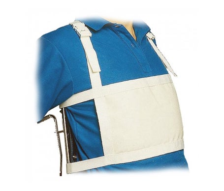 Pharmaouest Ceinture Securit� Fauteuil Lit Taille 2 1 Unité
